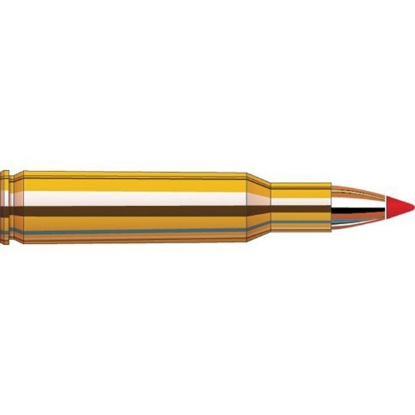 HORNADY - SUPERFORMANCE VARMINT AMMO 243 WINCHESTER 58GR V-MAX