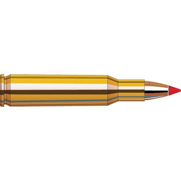HORNADY - SUPERFORMANCE VARMINT AMMO 243 WINCHESTER 58GR V-MAX