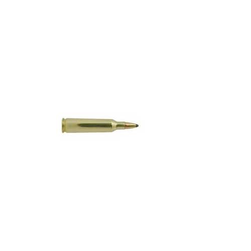 WINCHESTER - Winchester Super-X 22-250 55gr JSP