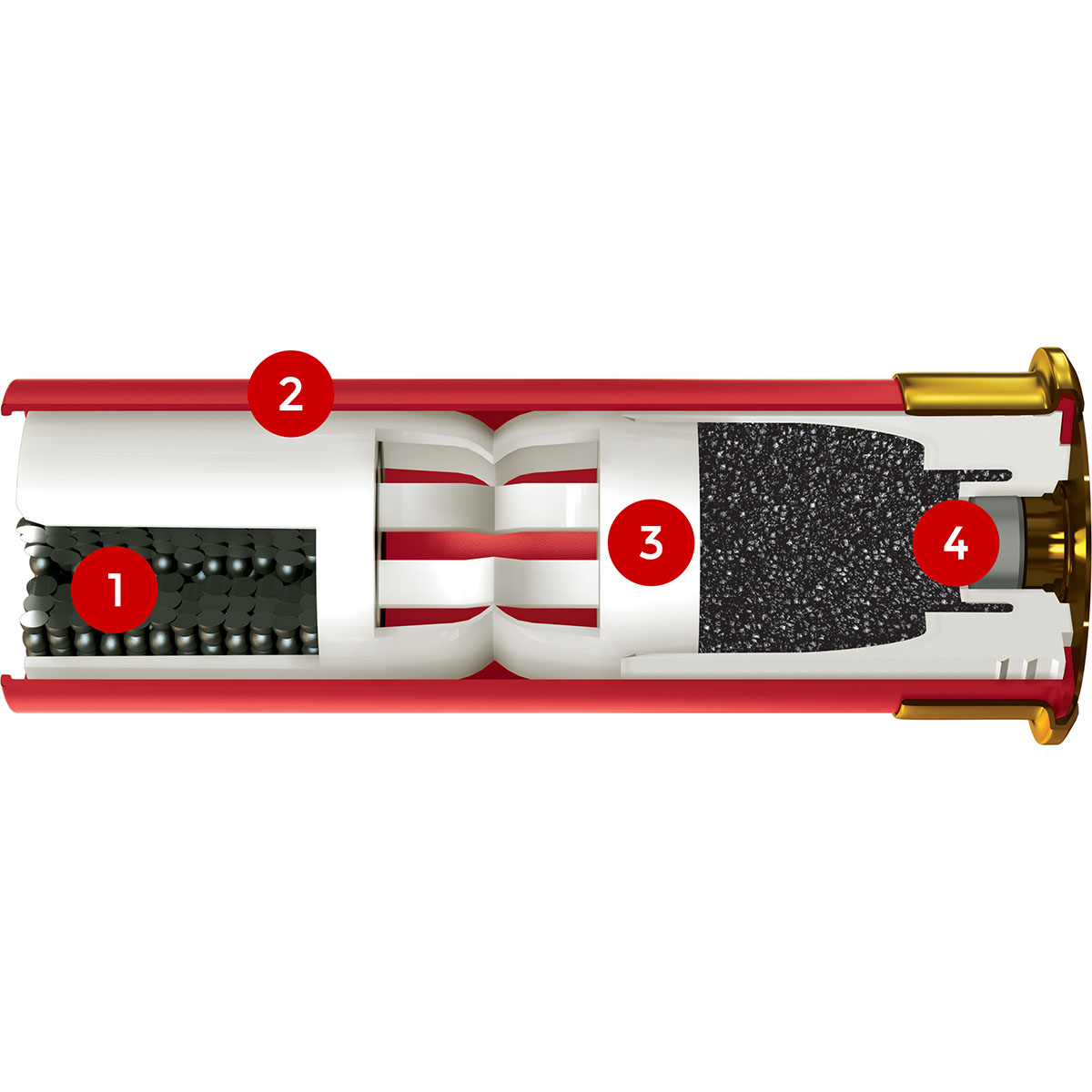 105004635_10W.jpg