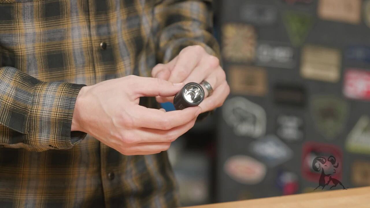 Product Spotlight: Modlite
