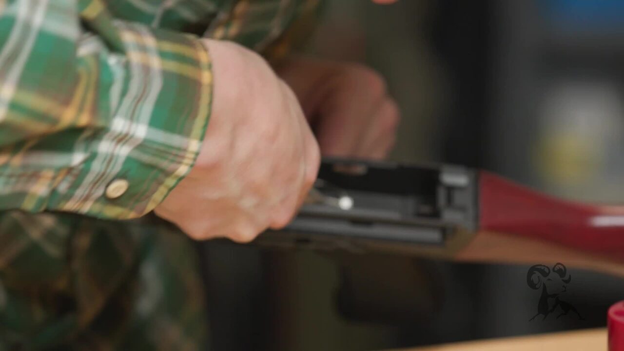 upgrading the zpap m70